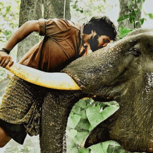 kumki
